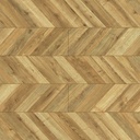 D80194 Umberto Oak