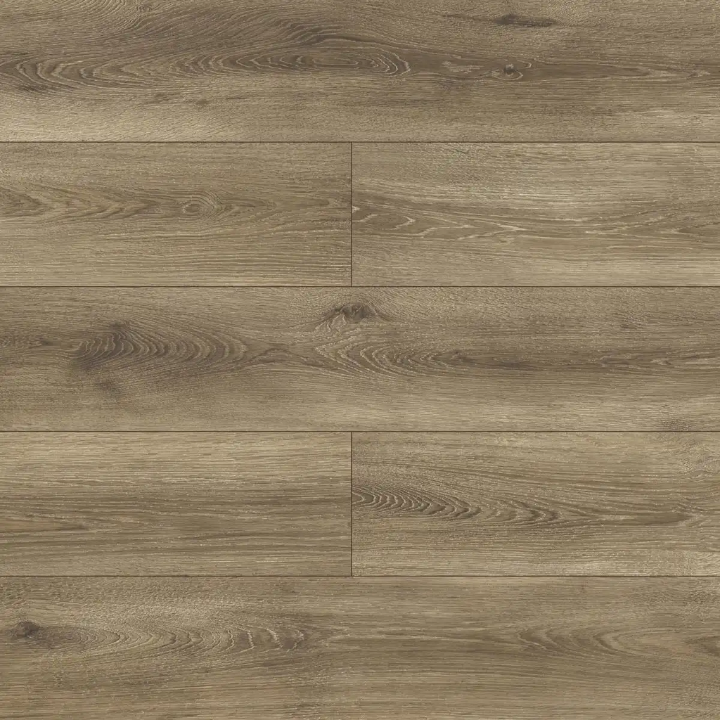 D5380 - Andromeda Oak