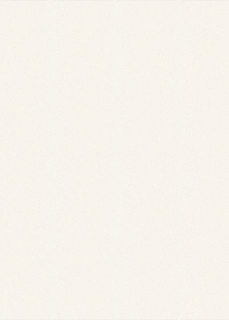 P208 Galaxy White