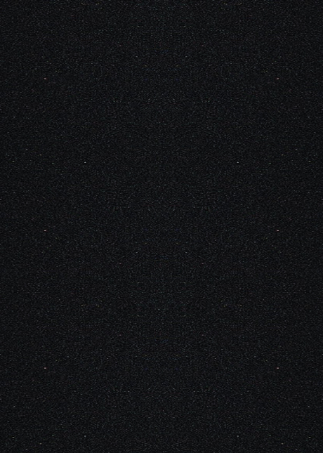 P231 Galaxy Black