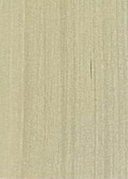13016–SF Bering-Wood