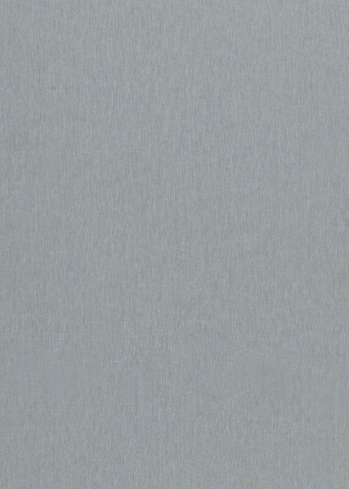 99981_Silvery