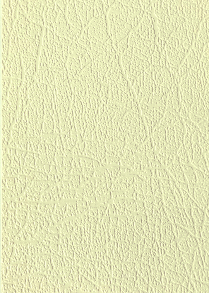 21187-CLR Champagne