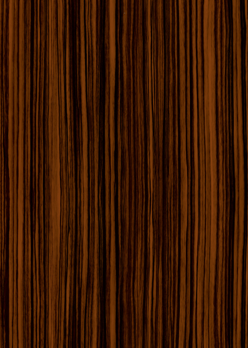 P300 Ebony