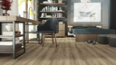 D5380 Andromeda Oak