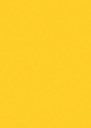 21467-Sf Neo Turmeric